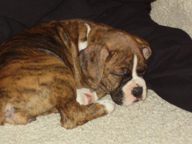 First day home