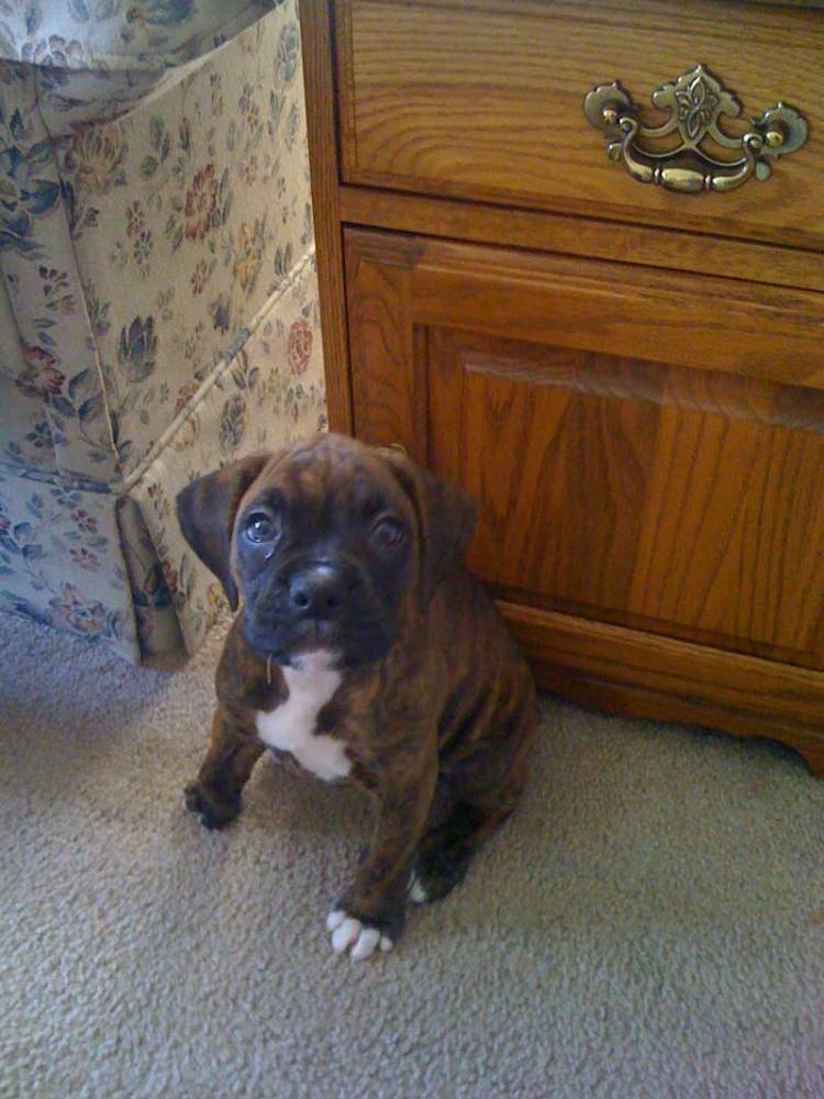 first day home