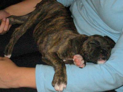 First Day, Milla's ride home