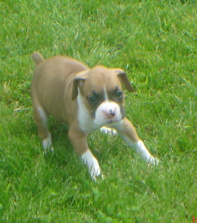 First day outside_1 month old