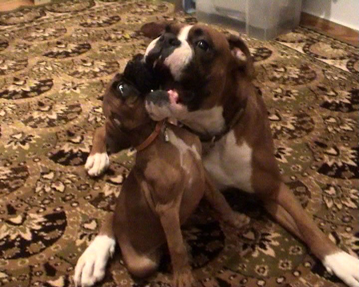 first kisses!