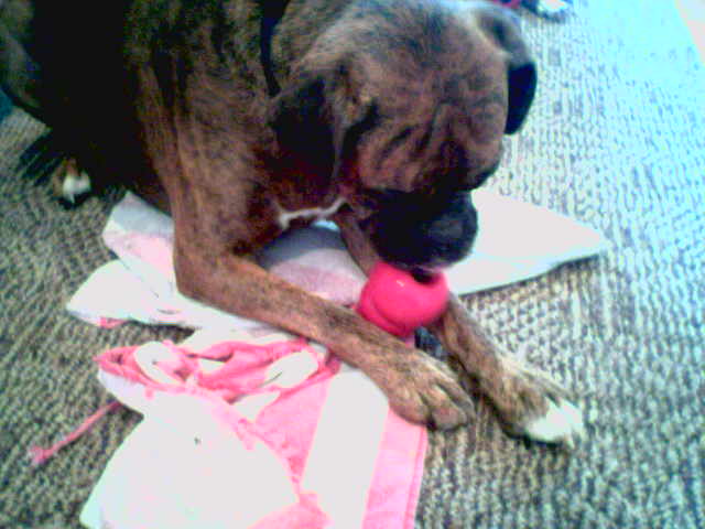 First Kong