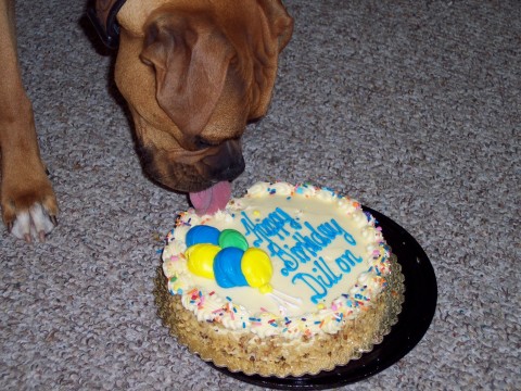 First Lick