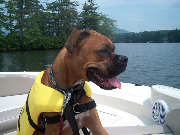 First Mate