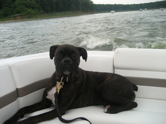 First Mate