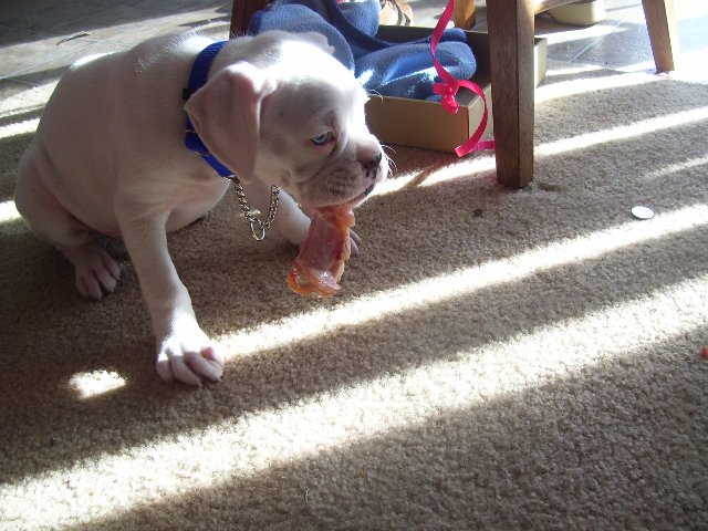 first meal at home