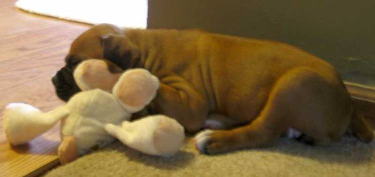 First night home...My first friend.