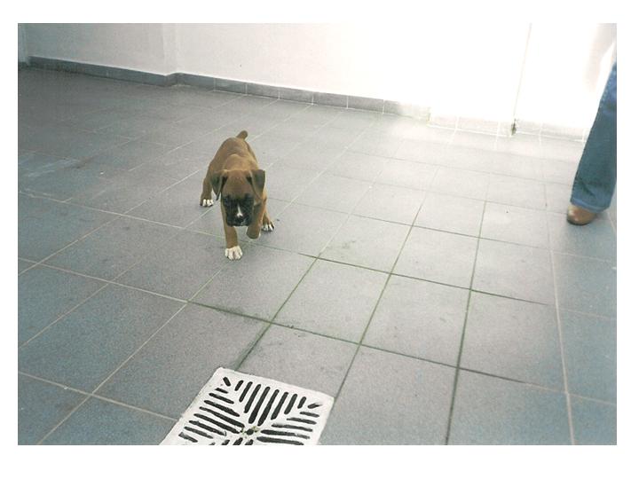 first pic taken at home