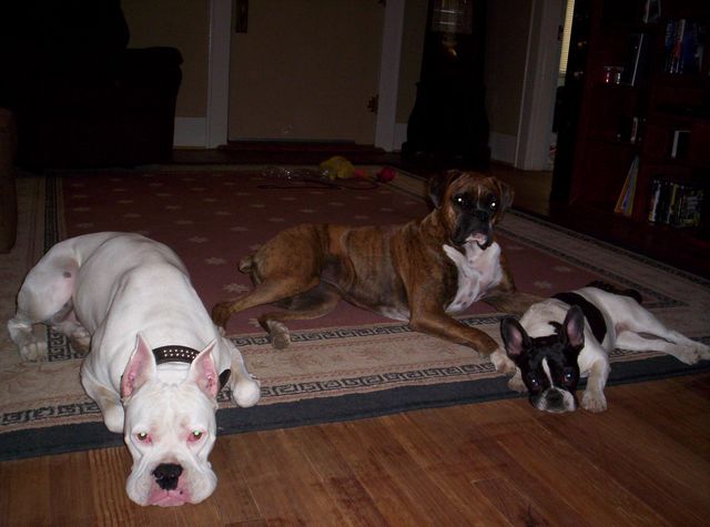 First pic with all three