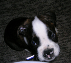 First Pics of Otto
