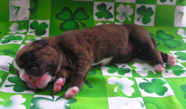 First Picture of Rogue