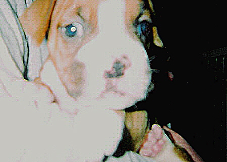 first picture