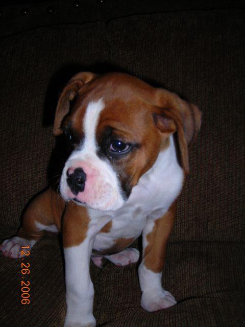 First Picture