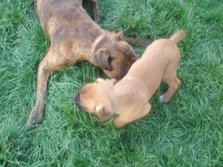 First playtime together