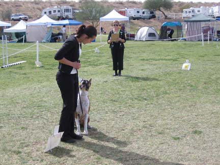 First Rally Obedience Trial