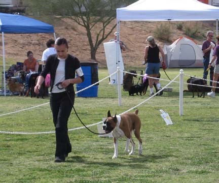 First Rally Obedience Trial