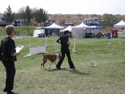 First Rally Obedience Trial