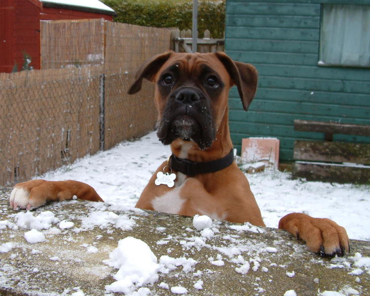 first sight of snow