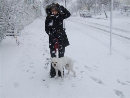 first snow fall