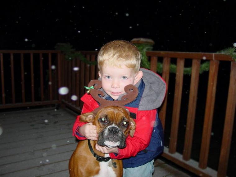 First snow for Nala.