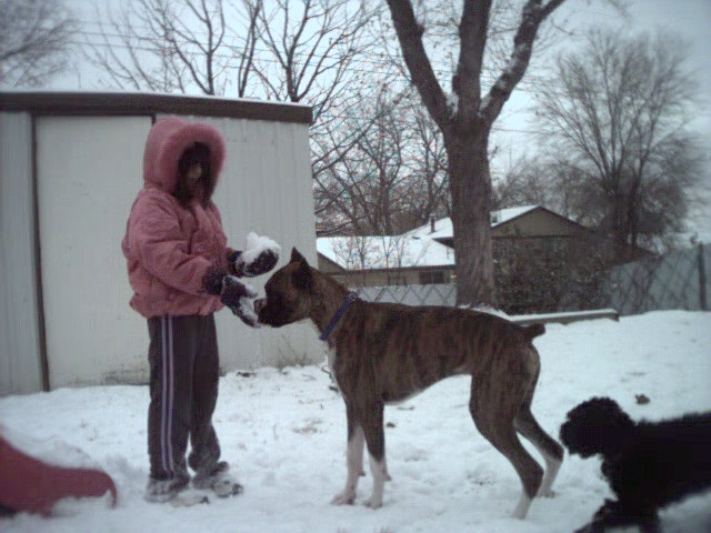 First snow, I love it!!