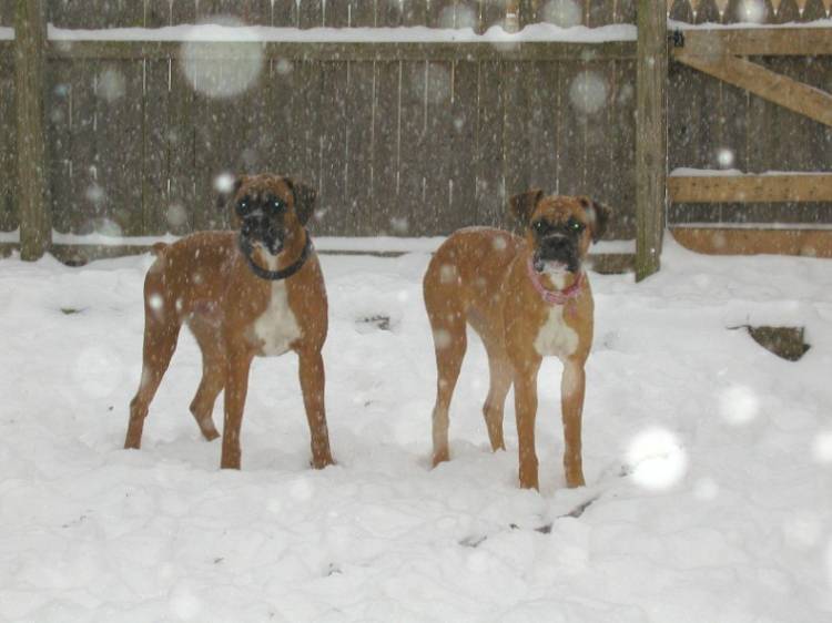 First snow