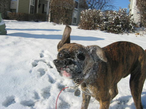 First snow