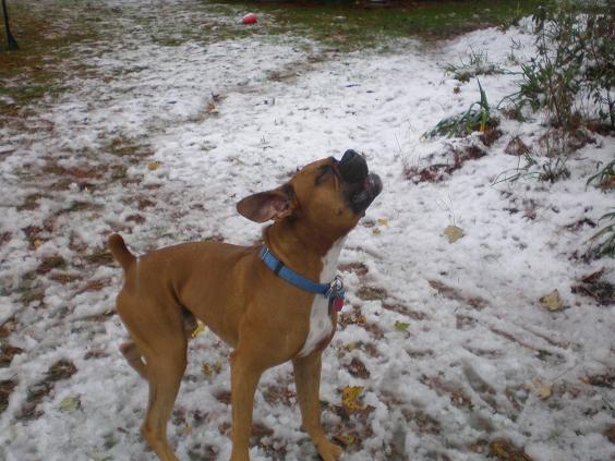 first snow