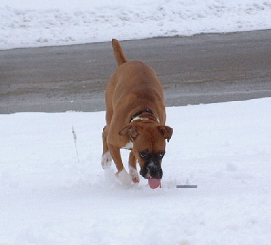 First snowfall