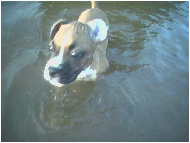 first swim