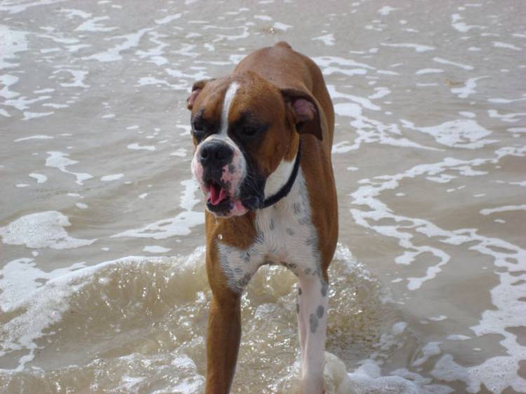 first taste of salt water :)