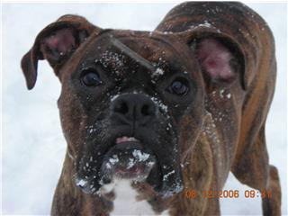 First Taste of Snow