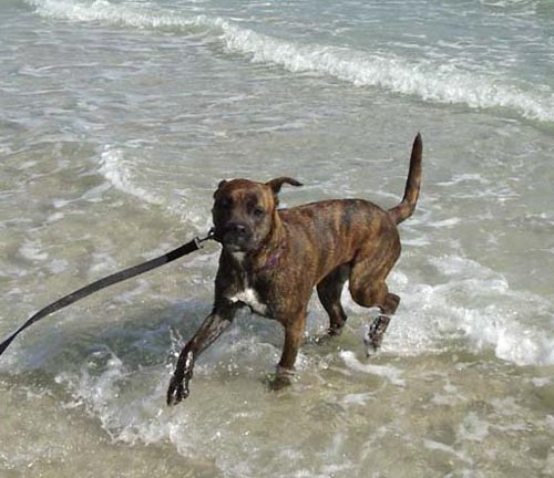 First time at the beach