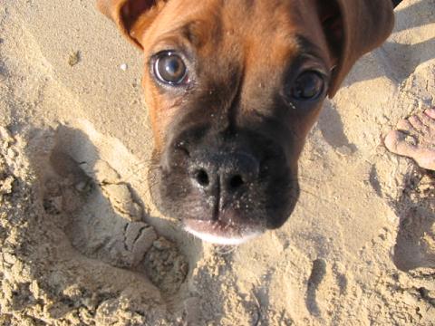 First Time at the Beach!