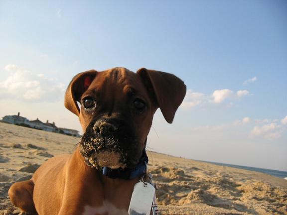 First Time at the Beach!