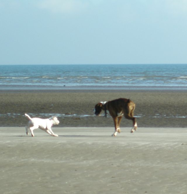 First time at the beach