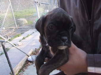First time I hold him