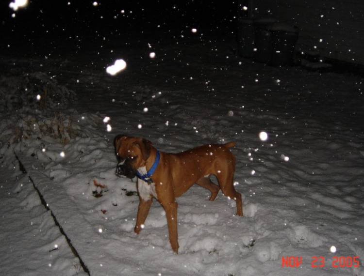 First time in the snow.