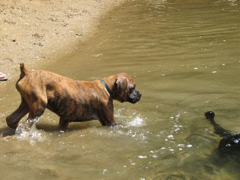 First time in water
