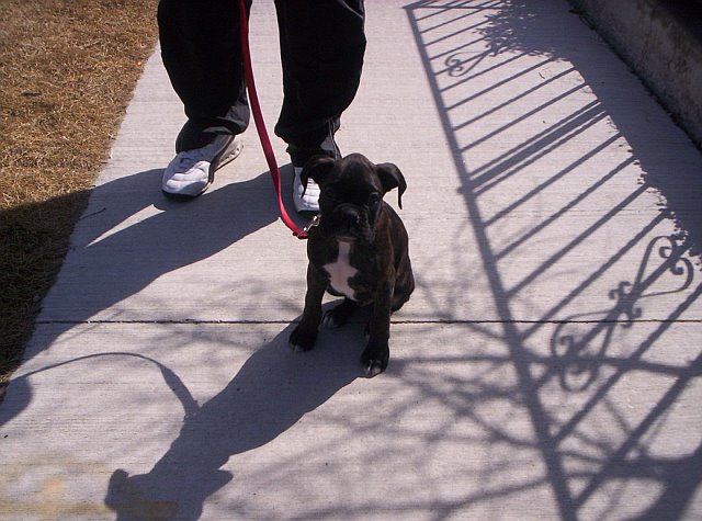 First Walk!