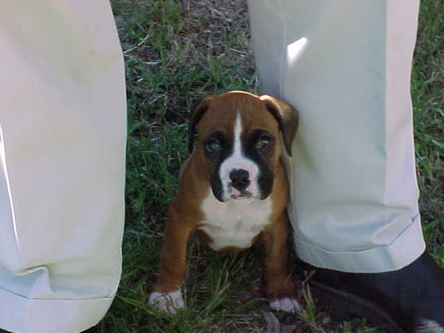 first week home