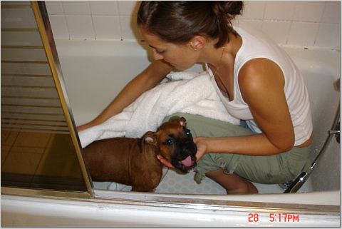 First_bath_-_yeah_