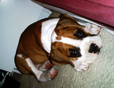 First_day_home5