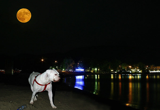 Fly me to the moon....