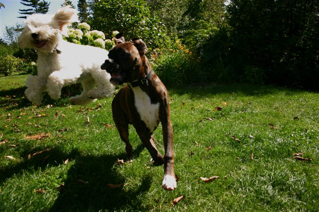 Flying Cody:  "Hey, Kramer, can you do this??"