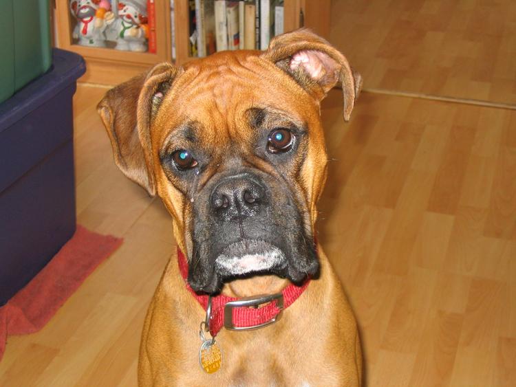 Food!  Did you say Food?..Huh