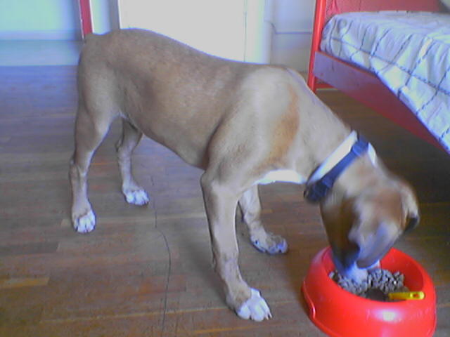 food time!