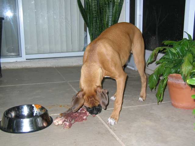 Food time
