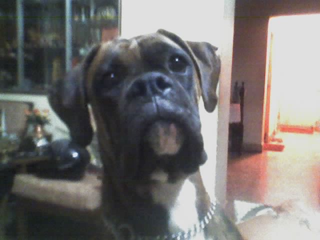 food?