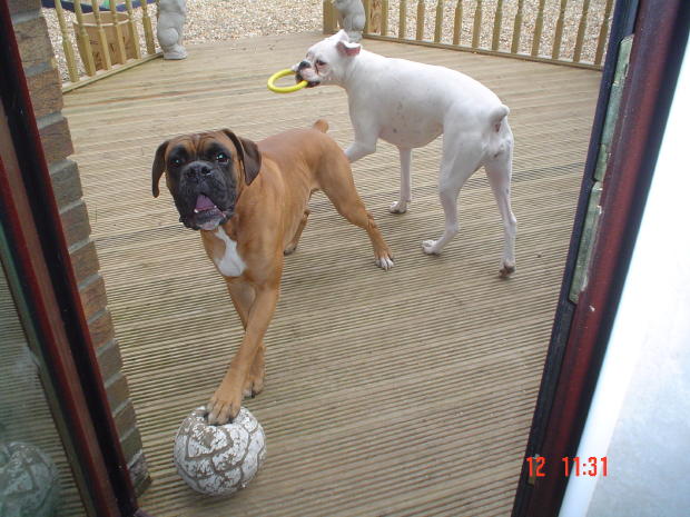 football boy